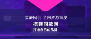 你还在到处找项目？还在当韭菜？我靠卖项目一个月收入5万+，曾经我也是个失败者。-星辰网创