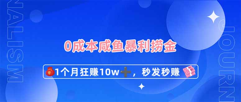 （14257期）0成本闲鱼暴利捞金，1个月狂赚10W+，秒发秒赚新玩法-星辰网创