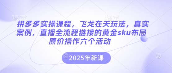 拼多多实操课程，飞龙在天玩法，真实案例，直播全流程链接的黄金sku布局原价操作六个活动-星辰网创