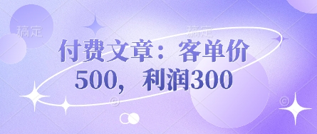付费文章：客单价500，利润300-星辰网创