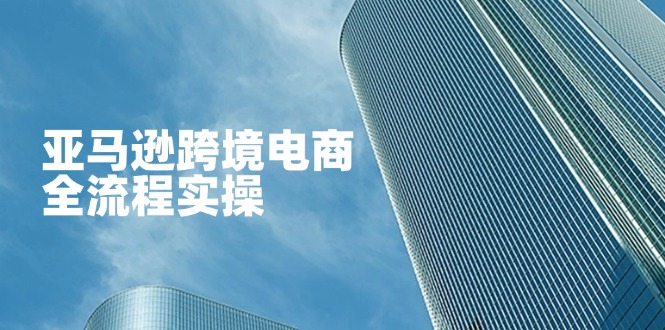 （14252期）亚马逊跨境电商全流程实操，教你从零开始，掌握店铺运营与广告技巧-星辰网创