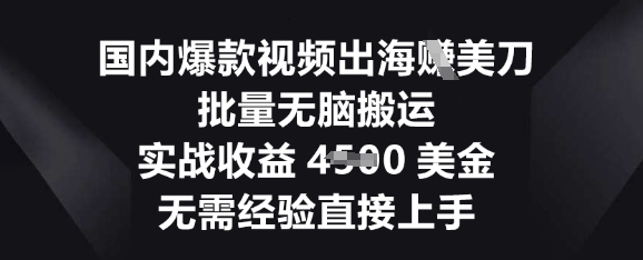国内爆款视频出海挣美刀，批量无脑搬运，实战收益4.5k，无需经验直接上手-星辰网创