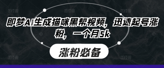 即梦AI生成猫咪黑帮视频，迅速起号涨粉，一个月5k-星辰网创