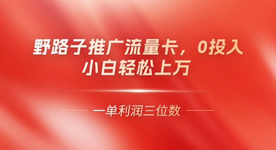 0门槛推广流量卡，一单收益上百，0投入，小白月入过W-星辰网创