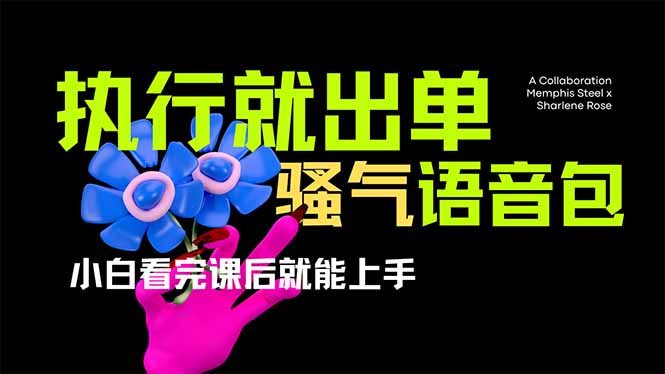 (14170期)爆火全网的开车导航骚气语音包,只要执行就出单,小白看完课程就能实操...-星辰网创