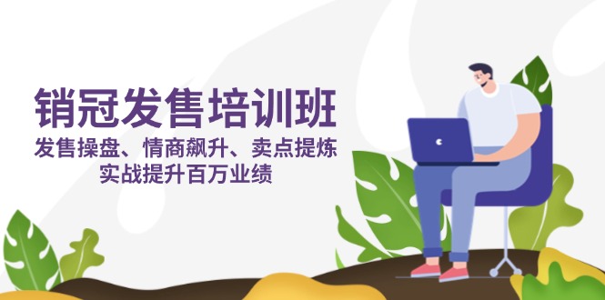 （14203期）销冠 发售培训班：发售 操盘+情商 飙升+卖点 提炼，实战提升百万业绩-星辰网创