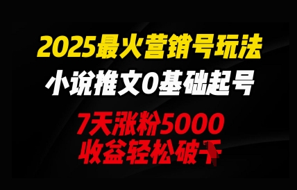 2025最火营销号玩法：小说推文0基础起号，7天涨粉5000，收益轻松破k-星辰网创