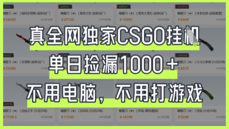 真全网独家CSGO挂G,单日捡漏1k+【揭秘】-星辰网创