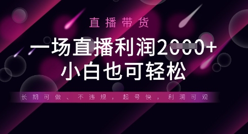 半无人直播带货，一场利润数张，适合所有平台玩法，小白也可轻松-星辰网创