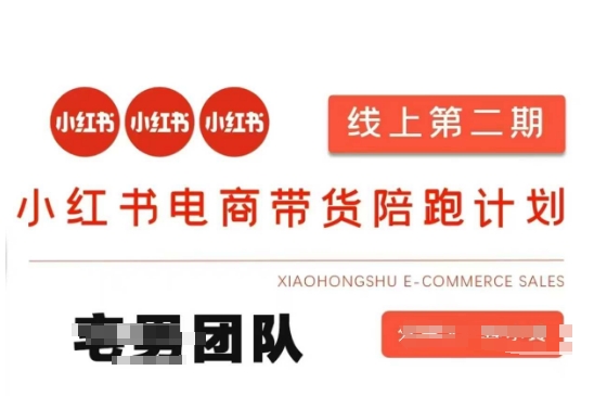 小红书电商带货课2期，月利润20个的小红书电商的有货源，无货源，虚拟产品，付费投流等整套玩法-星辰网创